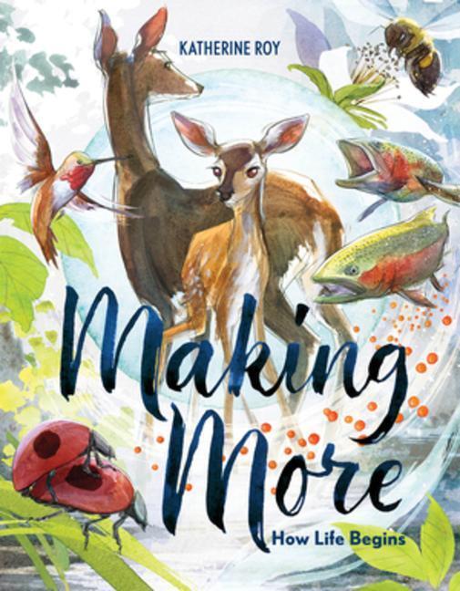 Cover: 9781324015840 | Making More | How Life Begins | Katherine Roy | Buch | Gebunden | 2023