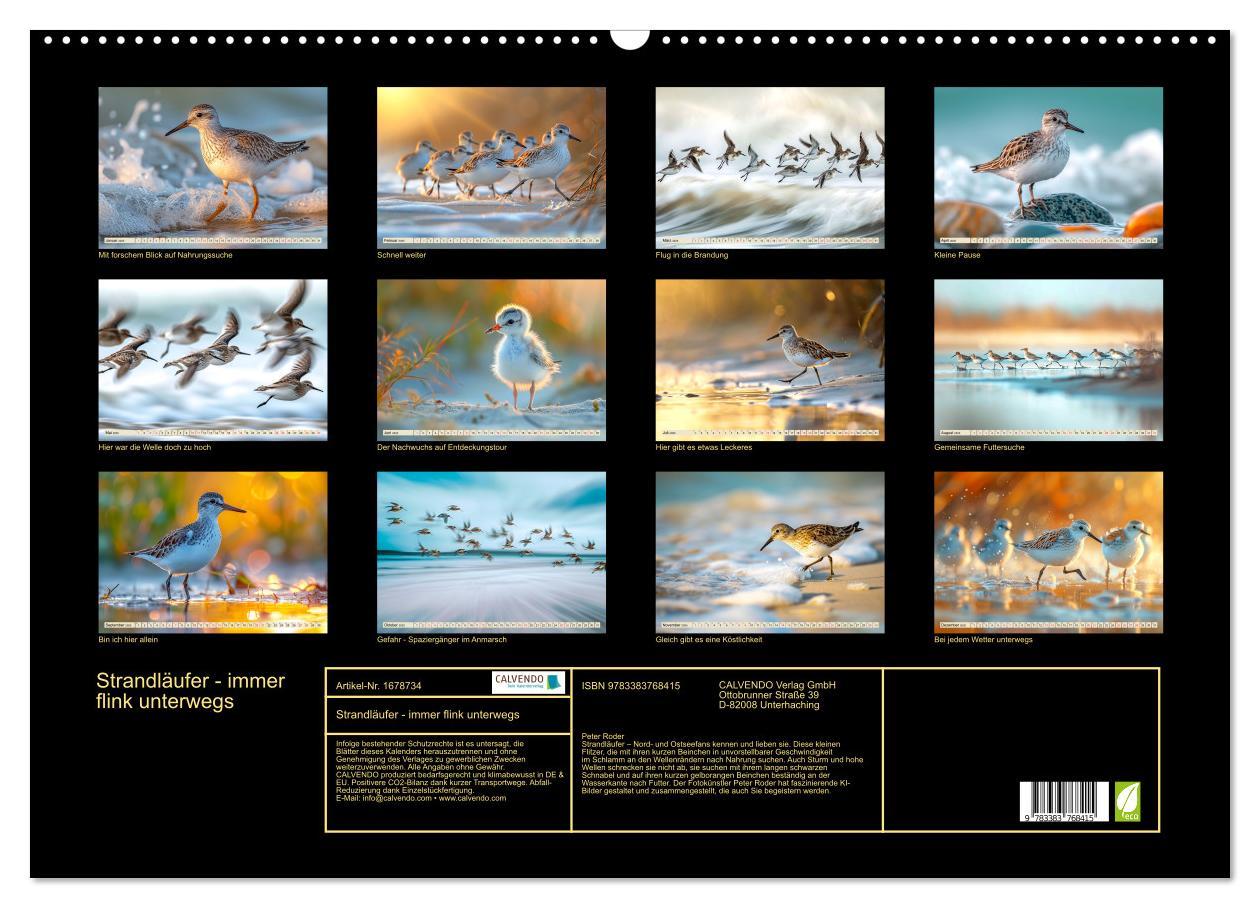 Bild: 9783383768415 | Strandläufer - immer flink unterwegs (Wandkalender 2025 DIN A2...