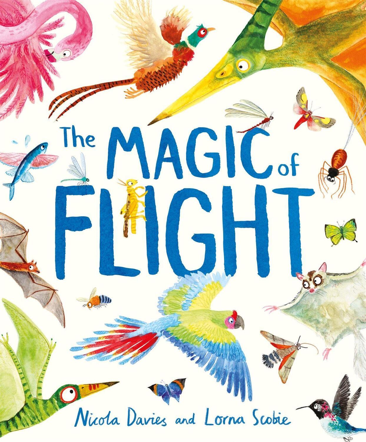 Cover: 9781444948424 | The Magic of Flight | Nicola Davies | Buch | Gebunden | Englisch