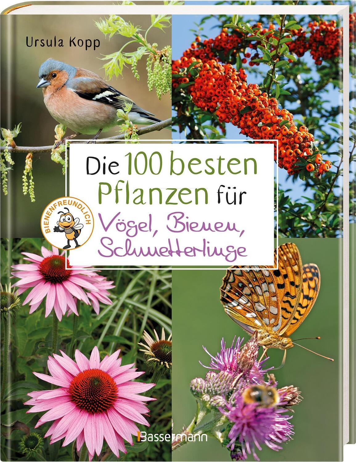 Bild: 9783809445036 | Die 100 besten Pflanzen für Vögel, Bienen, Schmetterlinge | Kopp