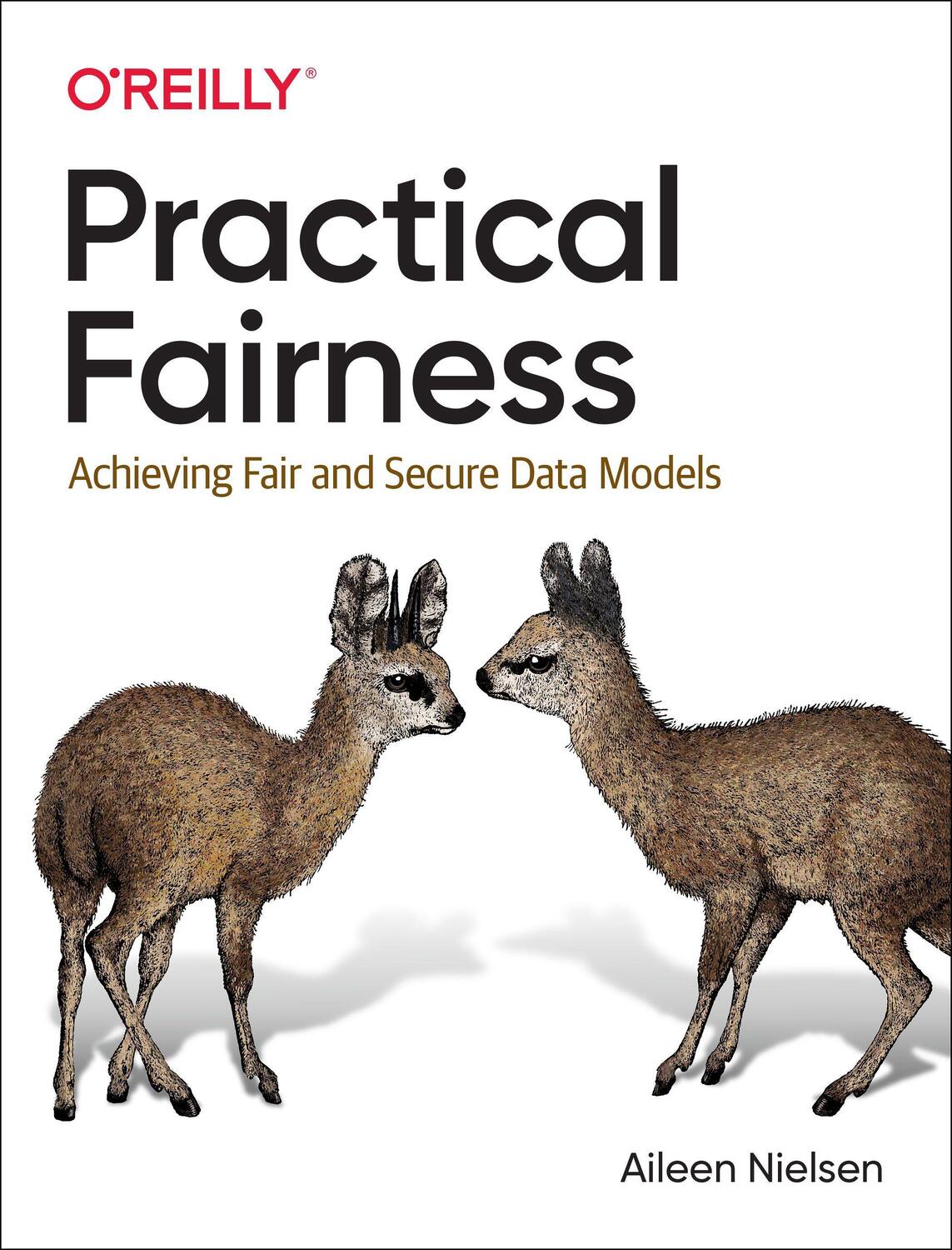 Cover: 9781492075738 | Practical Fairness: Achieving Fair and Secure Data Models | Nielsen