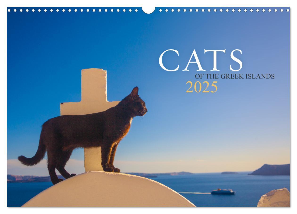 Cover: 9781325833832 | Cats of the Greek Islands (Wall Calendar 2025 DIN A3 landscape),...