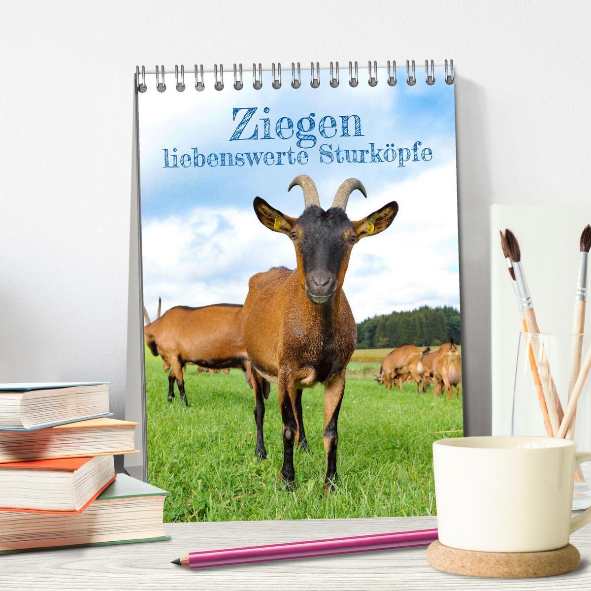 Bild: 9783435924639 | Ziegen - liebenswerte Sturköpfe (Tischkalender 2025 DIN A5 hoch),...