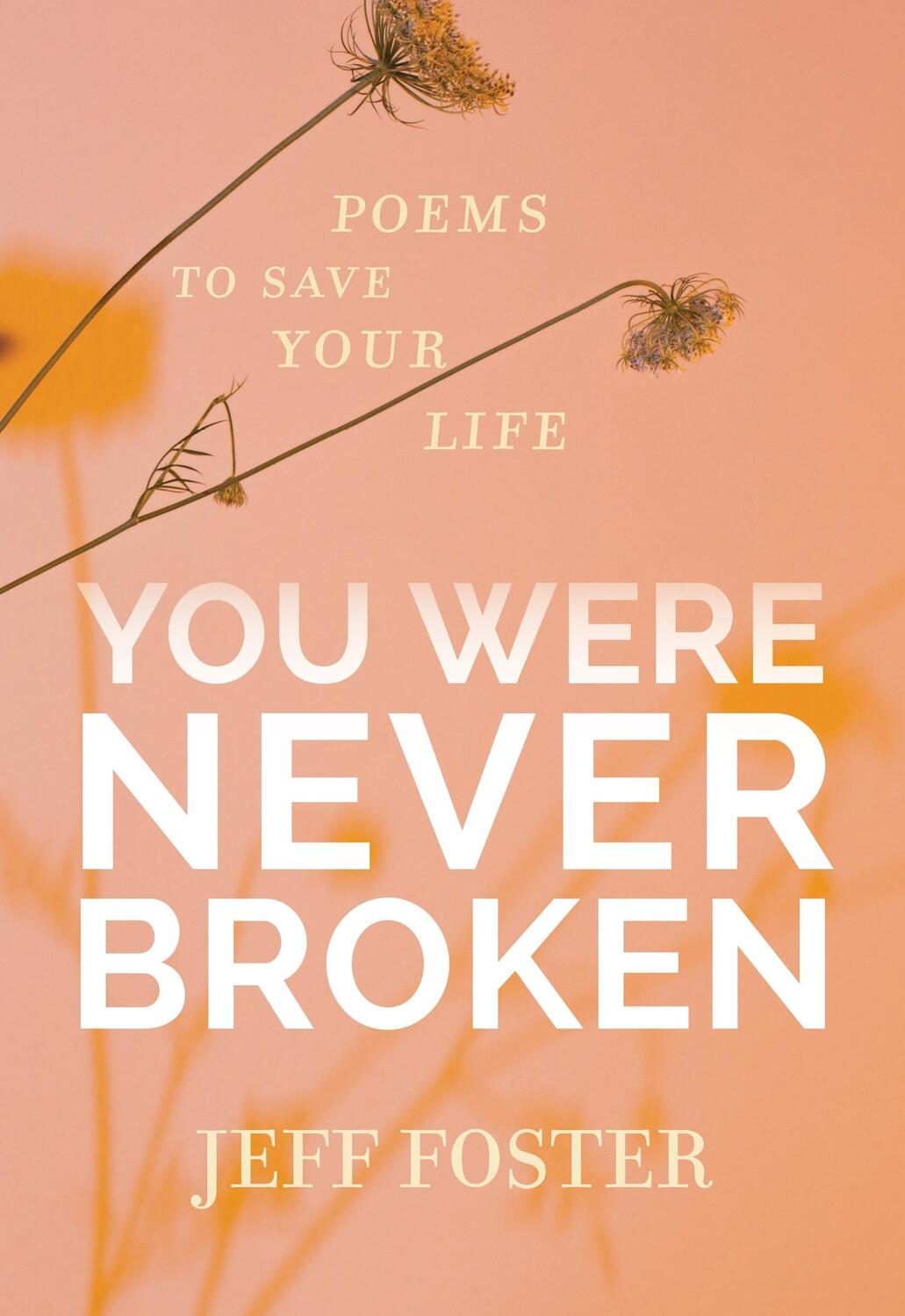 Cover: 9781683645597 | You Were Never Broken: Poems to Save Your Life | Jeff Foster | Buch