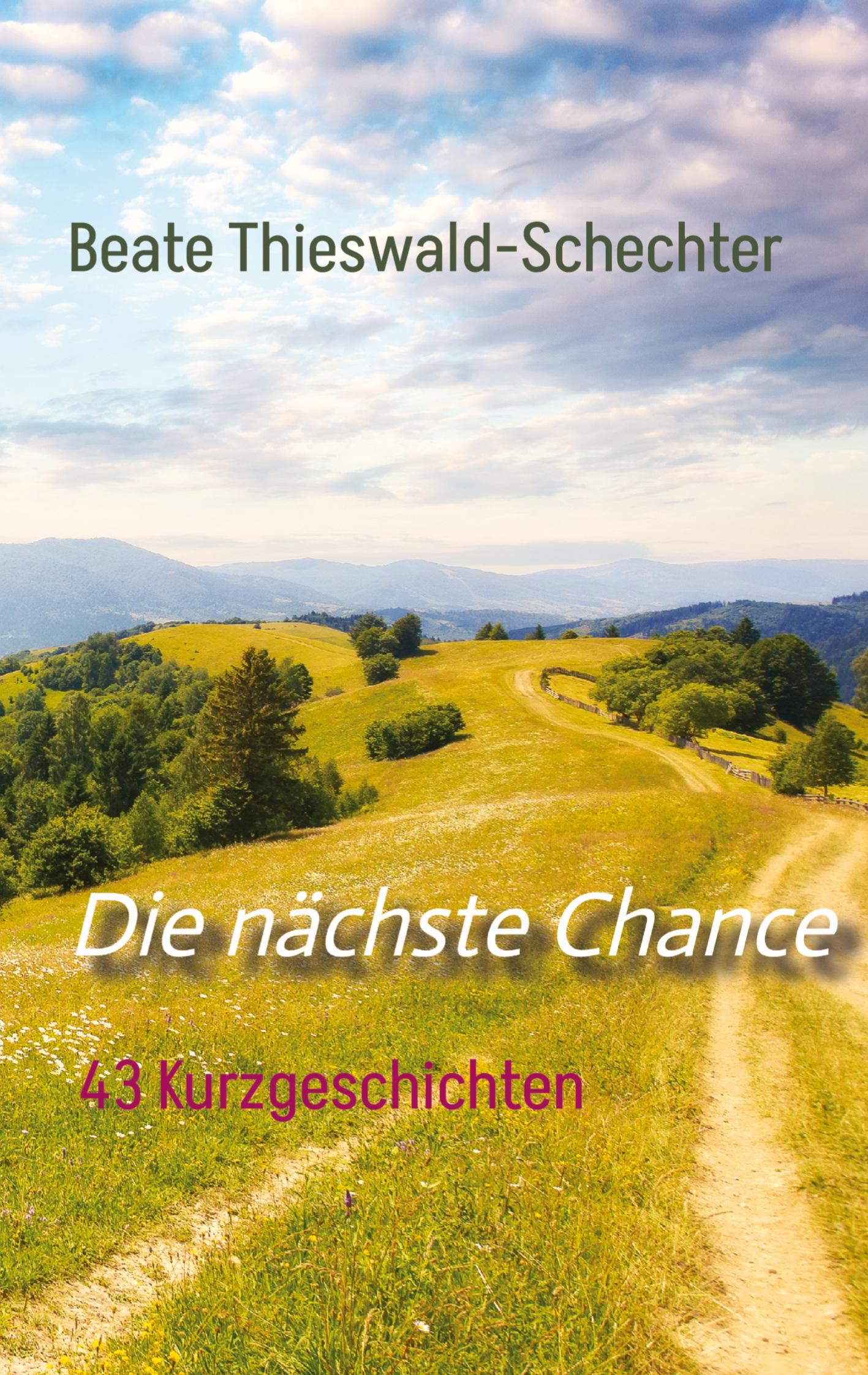 Cover: 9783384339416 | Die nächste Chance | 43 Kurzgeschichten | Beate Thieswald-Schechter