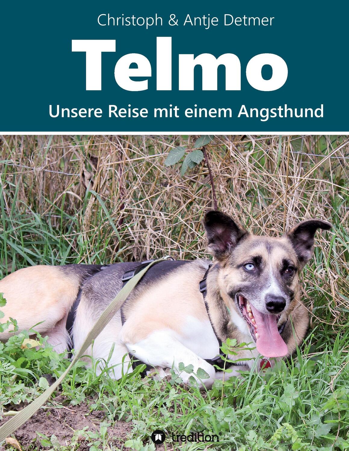 Cover: 9783743913974 | Telmo | Unsere Reise mit einem Angsthund | Christoph & Antje Detmer