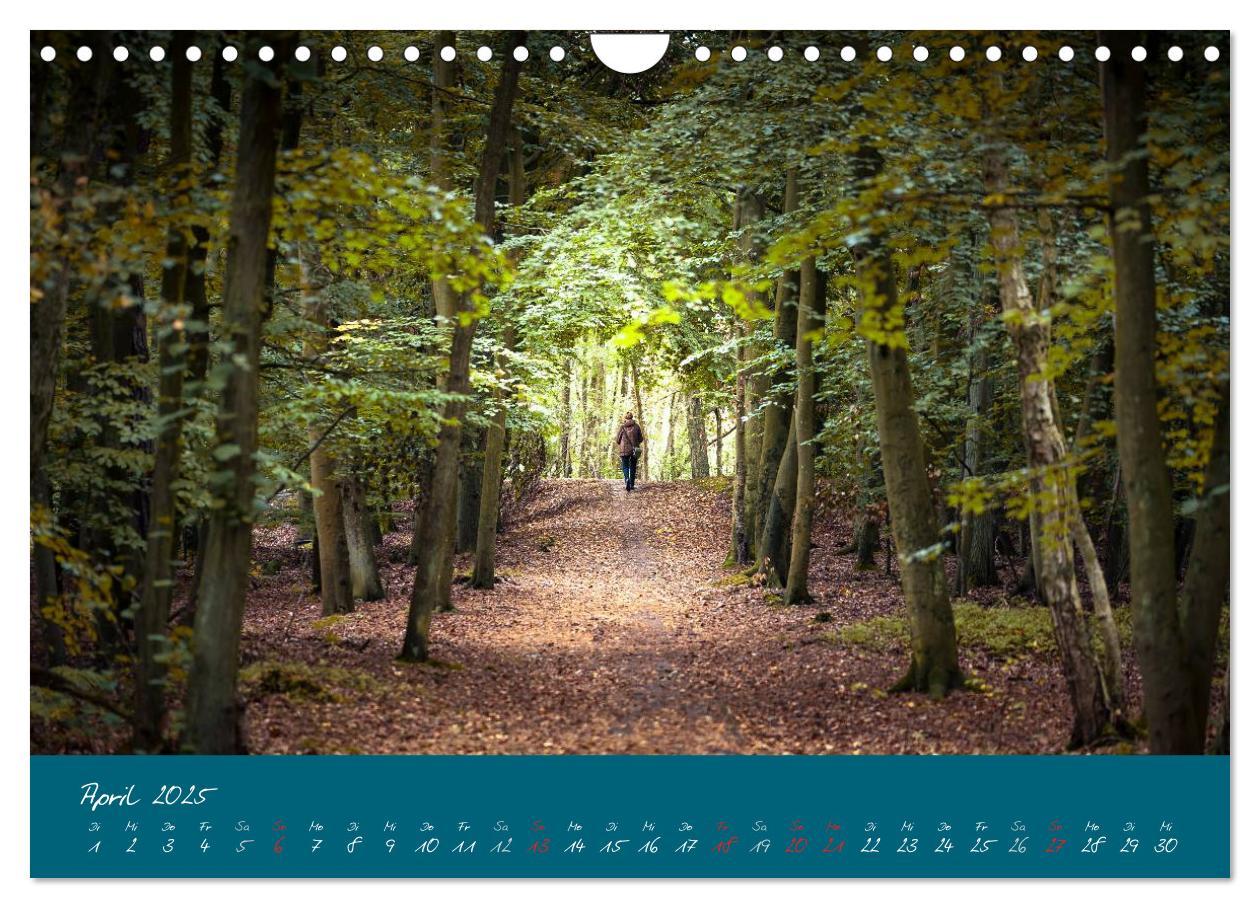 Bild: 9783435650149 | Blick auf die Halbinsel Fischland, Darß und Zingst (Wandkalender...