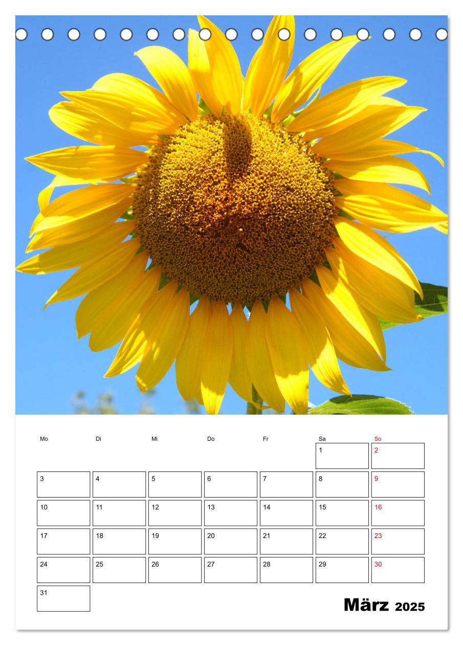 Bild: 9783435969807 | Leuchtende Sonnenblumen (Tischkalender 2025 DIN A5 hoch), CALVENDO...