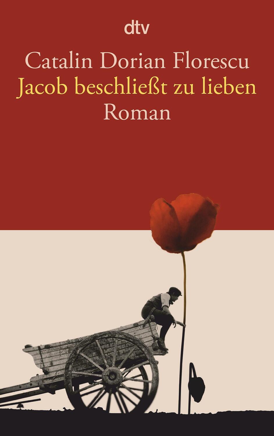 Cover: 9783423141802 | Jacob beschließt zu lieben | Catalin Dorian Florescu | Taschenbuch