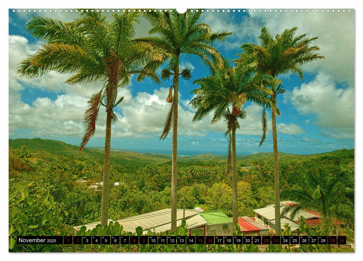 Bild: 9783435453788 | Barbados (Wandkalender 2025 DIN A2 quer), CALVENDO Monatskalender