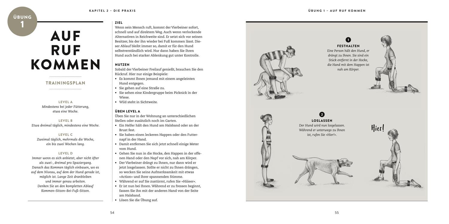 Bild: 9783833853913 | So einfach geht Hundeerziehung | Katharina Schlegl-Kofler | Buch