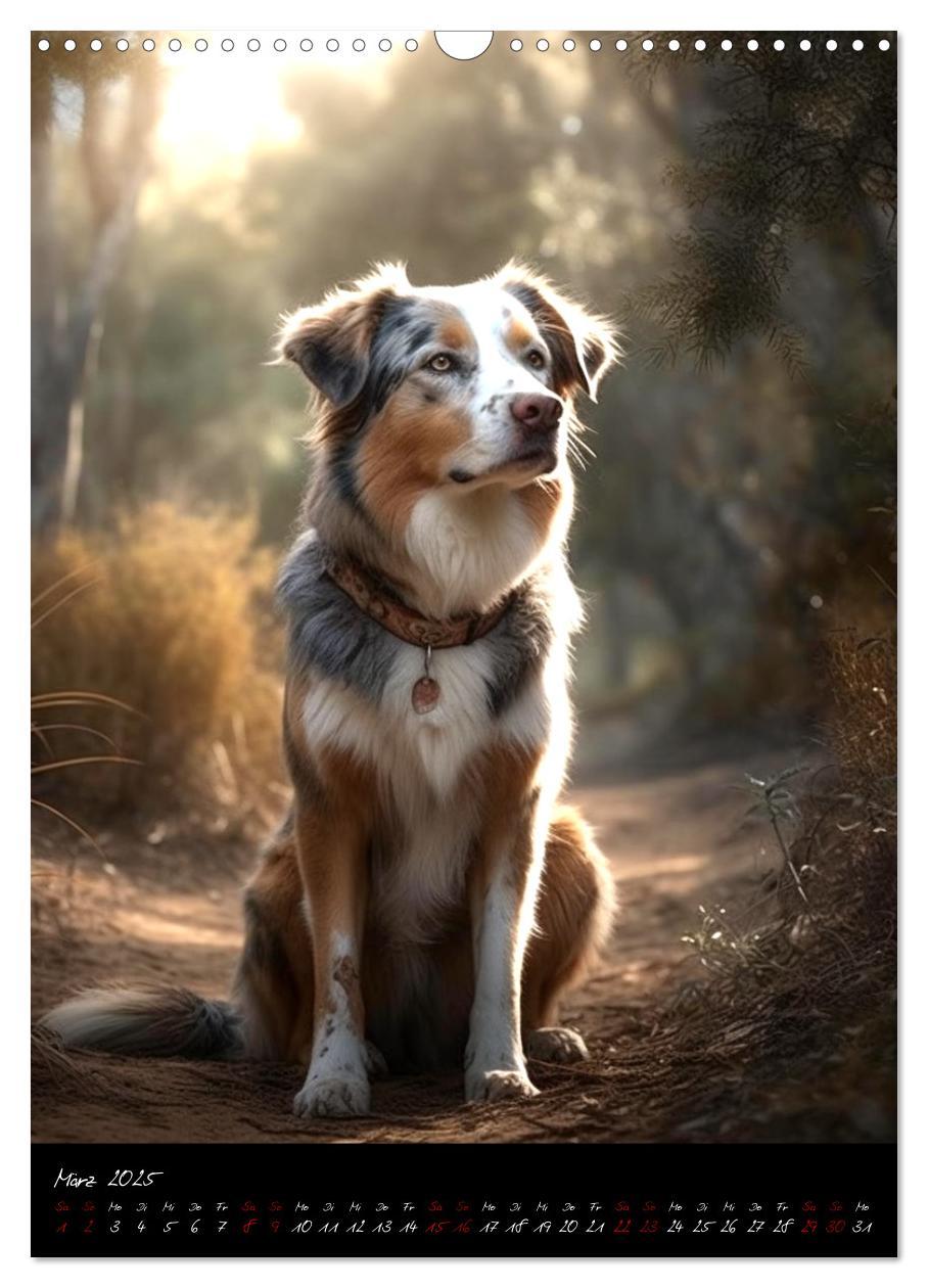 Bild: 9783435876648 | Australian Shepherd (Wandkalender 2025 DIN A3 hoch), CALVENDO...