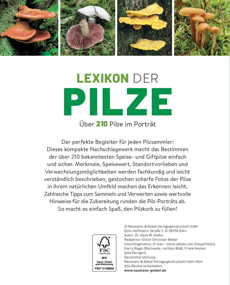 Rückseite: 9783625191094 | Lexikon der Pilze - Über 210 Pilze im Porträt | Hans W. Kothe | Buch