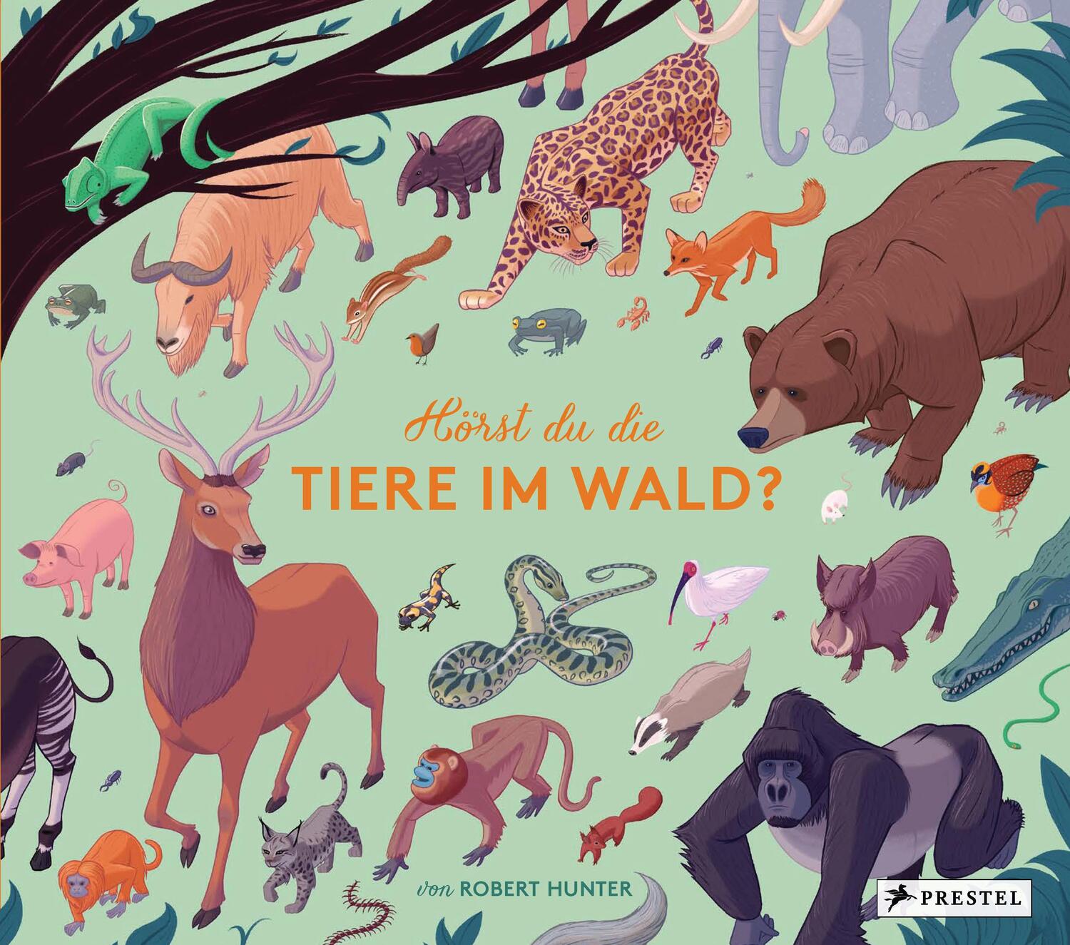 Cover: 9783791374383 | Hörst du die Tiere im Wald? | Robert Hunter | Buch | 24 S. | Deutsch