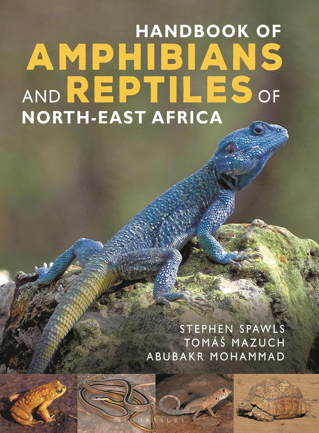 Autor: 9781472991447 | Handbook of Amphibians and Reptiles of Northeast Africa | Buch | 2023