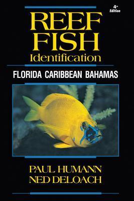 Cover: 9781878348579 | Reef Fish Identification | Florida Caribbean Bahamas | Humann (u. a.)