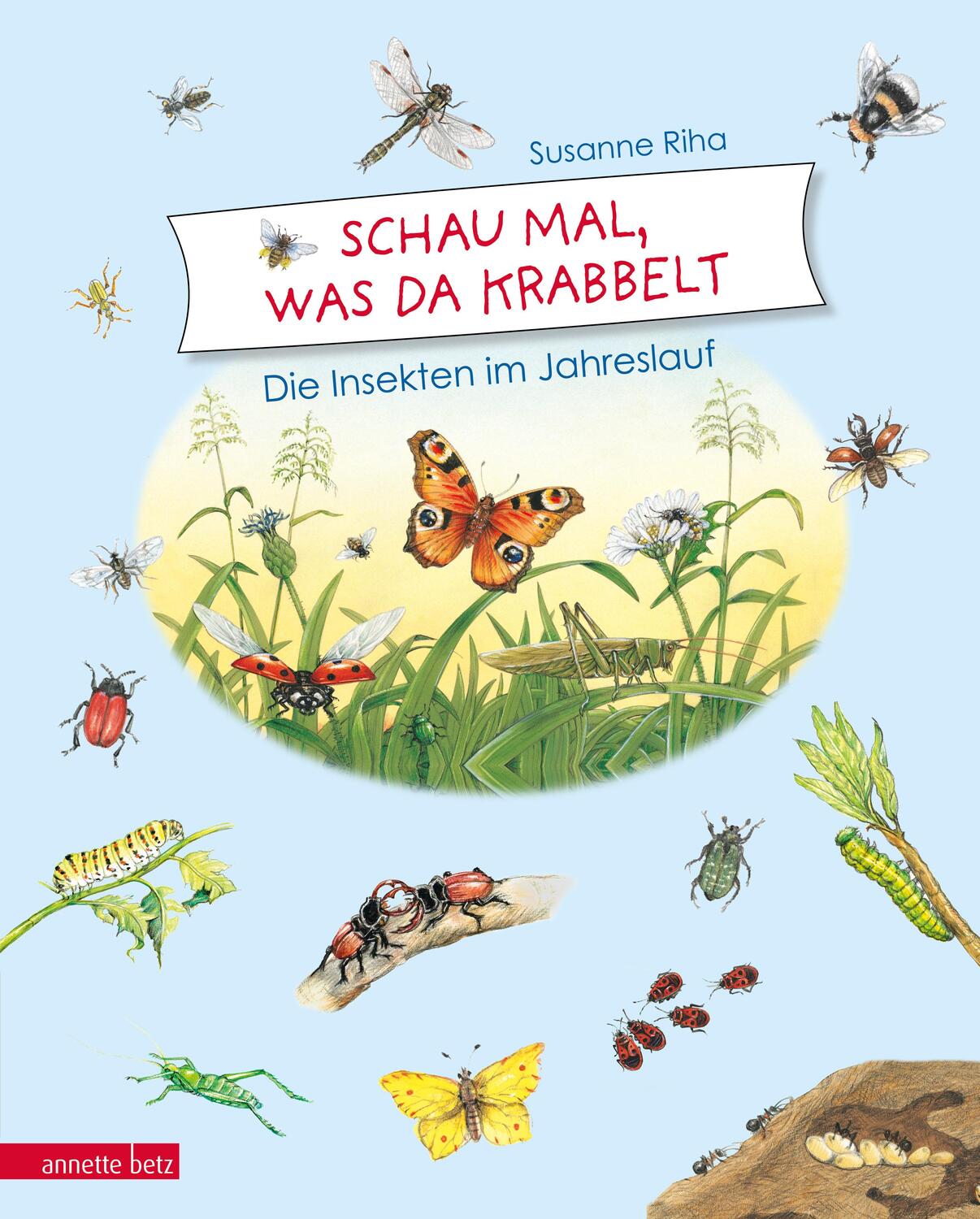 Cover: 9783219117813 | Schau mal, was da krabbelt | Die Insekten im Jahreslauf | Susanne Riha