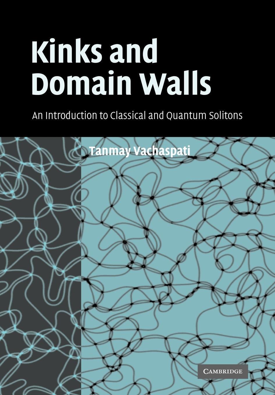 Cover: 9780521141918 | Kinks and Domain Walls | Tanmay Vachaspati (u. a.) | Taschenbuch