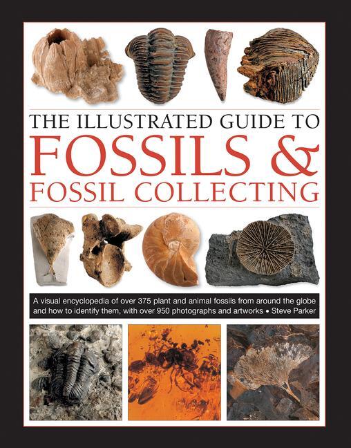 Cover: 9780754834892 | Fossils &amp; Fossil Collecting, The Illustrated Guide to | Steve Parker