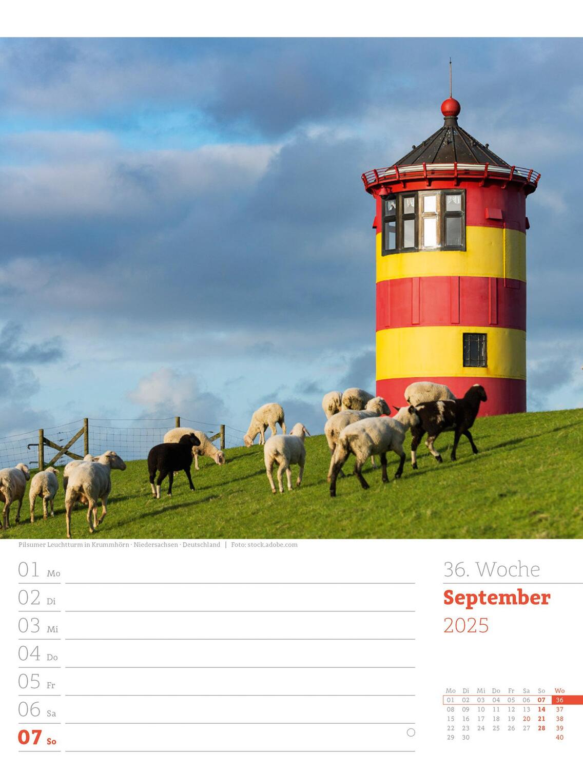 Bild: 9783838435039 | Am Meer - Wochenplaner Kalender 2025 | Ackermann Kunstverlag | 56 S.