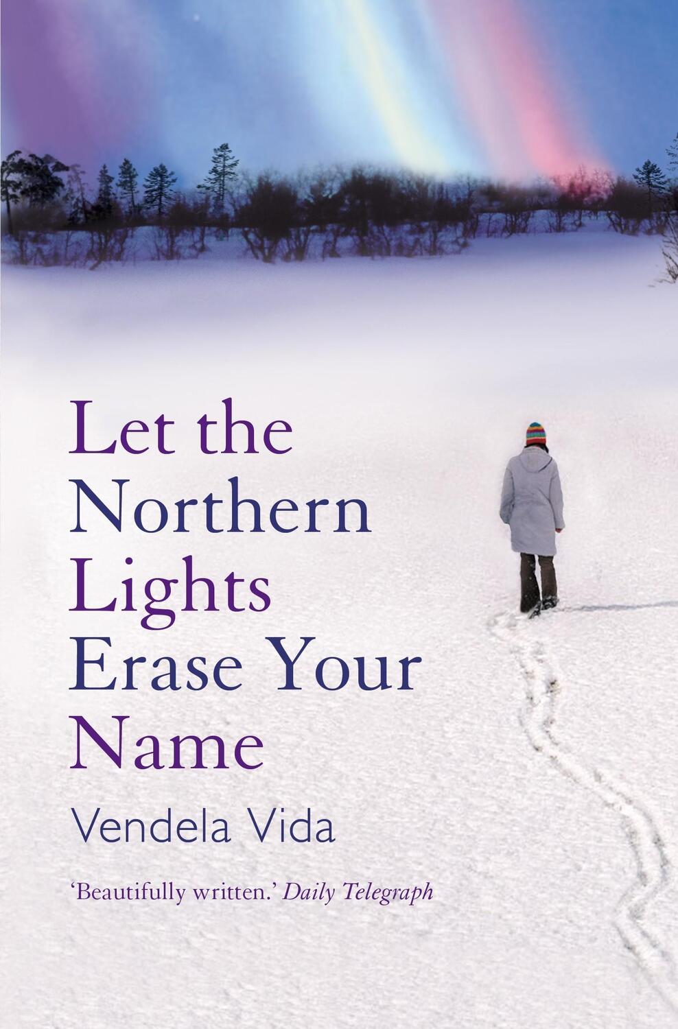 Cover: 9781843545835 | Let the Northern Lights Erase Your Name | Vendela Vida | Taschenbuch