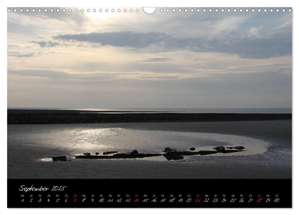 Bild: 9783435839575 | Baltrum (Wandkalender 2025 DIN A3 quer), CALVENDO Monatskalender