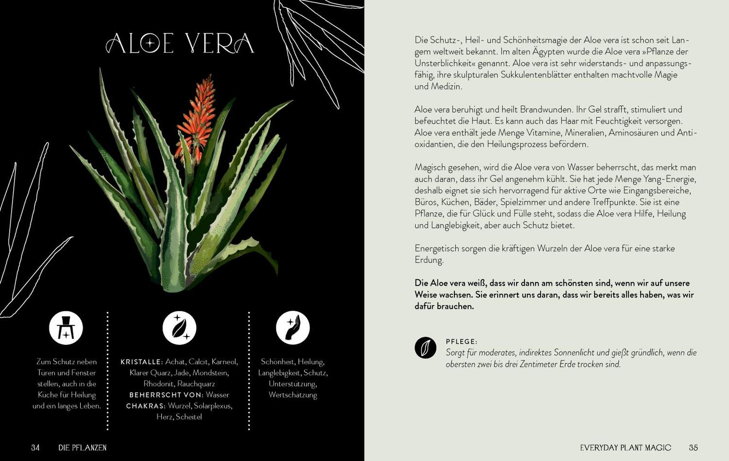 Bild: 9783957287342 | Everyday Plant Magic | Rachael Cohen | Buch | 160 S. | Deutsch | 2023