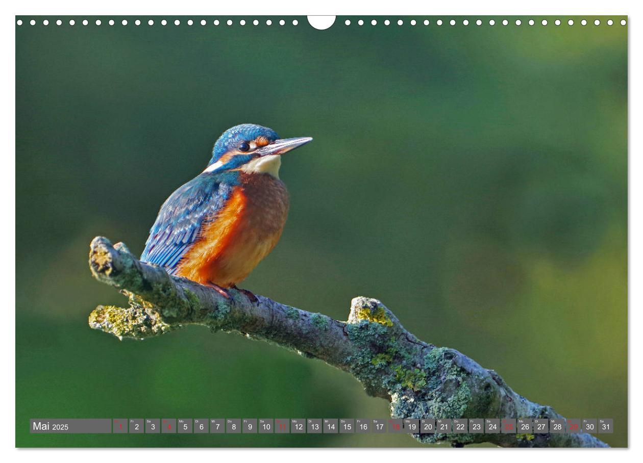 Bild: 9783435201518 | Zauberhafte Schwalm (Wandkalender 2025 DIN A3 quer), CALVENDO...