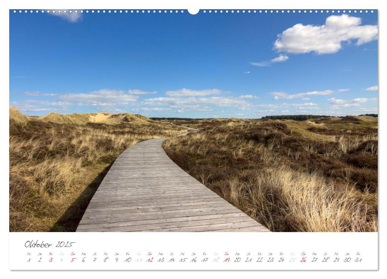 Bild: 9783435600939 | Amrum - Eine farbenfrohe Insellandschaft (Wandkalender 2025 DIN A2...