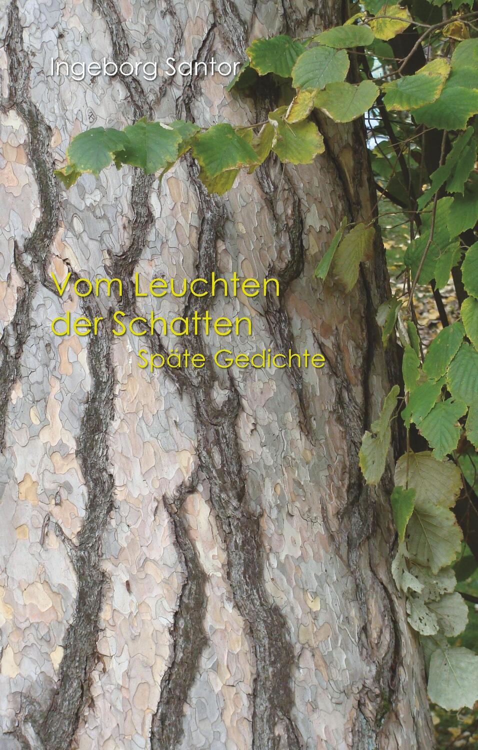 Cover: 9783749421169 | Vom Leuchten der Schatten | Späte Gedichte | Ingeborg Santor | Buch
