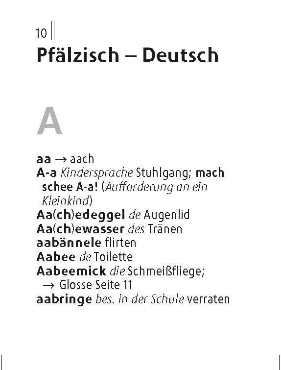 Bild: 9783125145320 | Langenscheidt Lilliput Pfälzisch | Taschenbuch | 384 S. | Deutsch