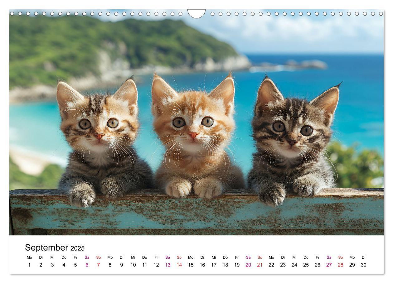 Bild: 9783457218280 | Katzenzauber - Samtpfoten im Jahreslauf (Wandkalender 2025 DIN A3...