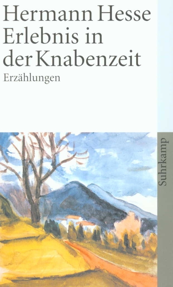 Cover: 9783518458013 | Erlebnis in der Knabenzeit | Hermann Hesse | Taschenbuch | 329 S.