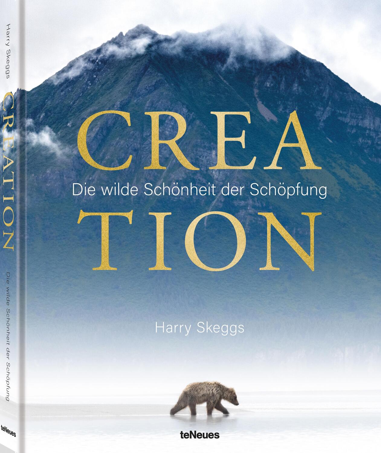 Cover: 9783961715725 | Creation | Die wilde Schönheit der Schöpfung | Harry Skeggs | Buch