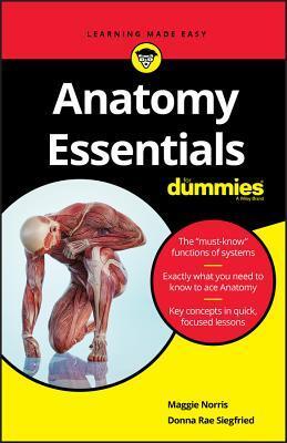 Cover: 9781119590156 | Anatomy Essentials For Dummies | Donna Rae Siegfried (u. a.) | Buch