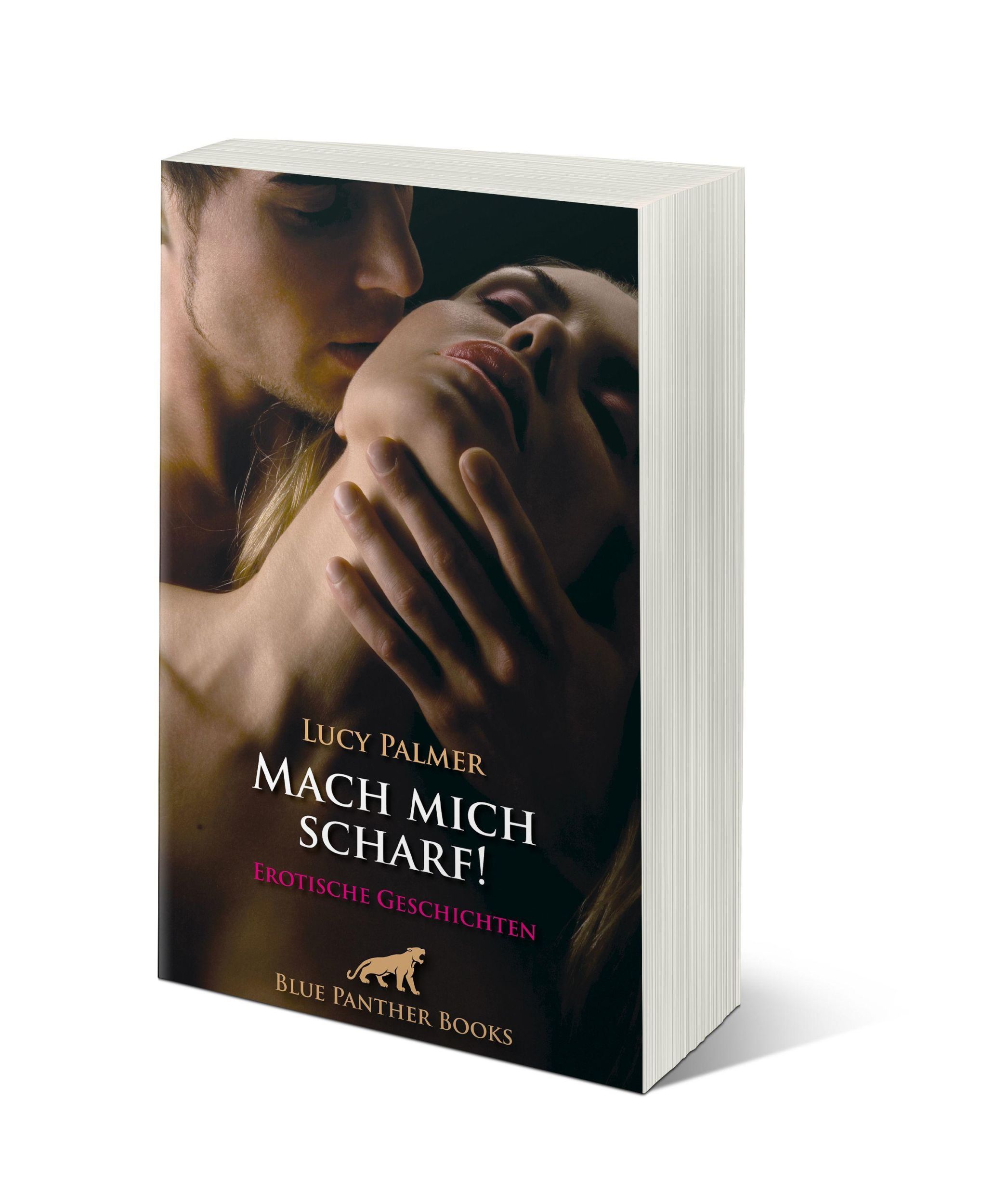 Bild: 9783750740075 | Mach mich scharf! Erotische Geschichten | Lucy Palmer | Taschenbuch