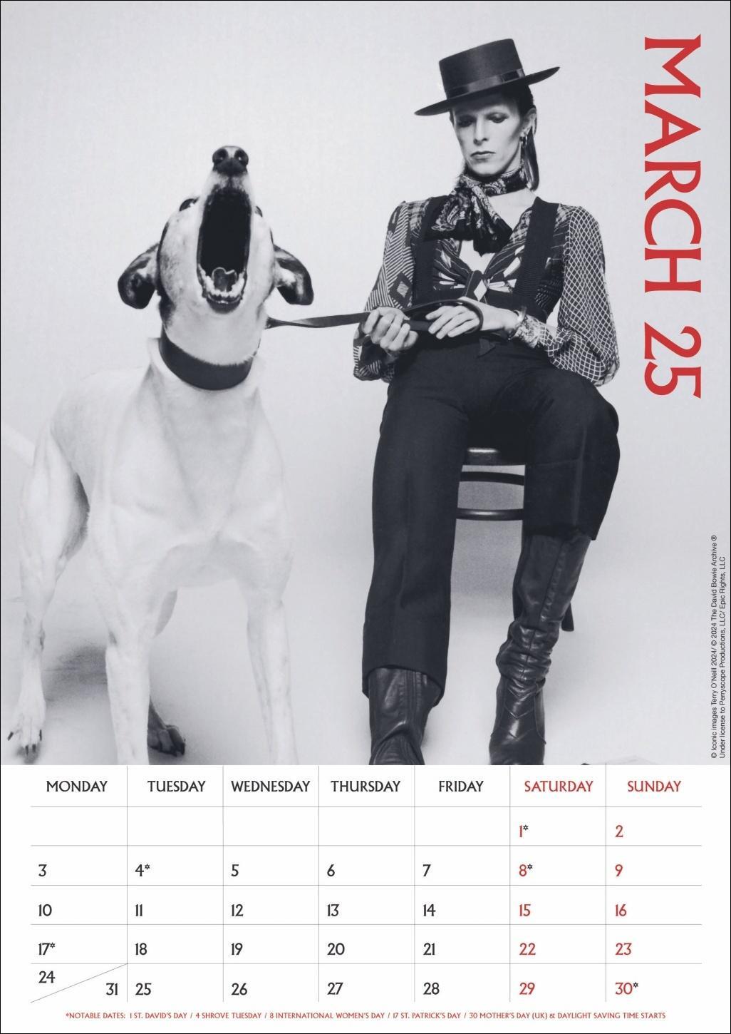 Bild: 9783840196713 | David Bowie Posterkalender 2025 | David Bowie | Kalender | Danilo