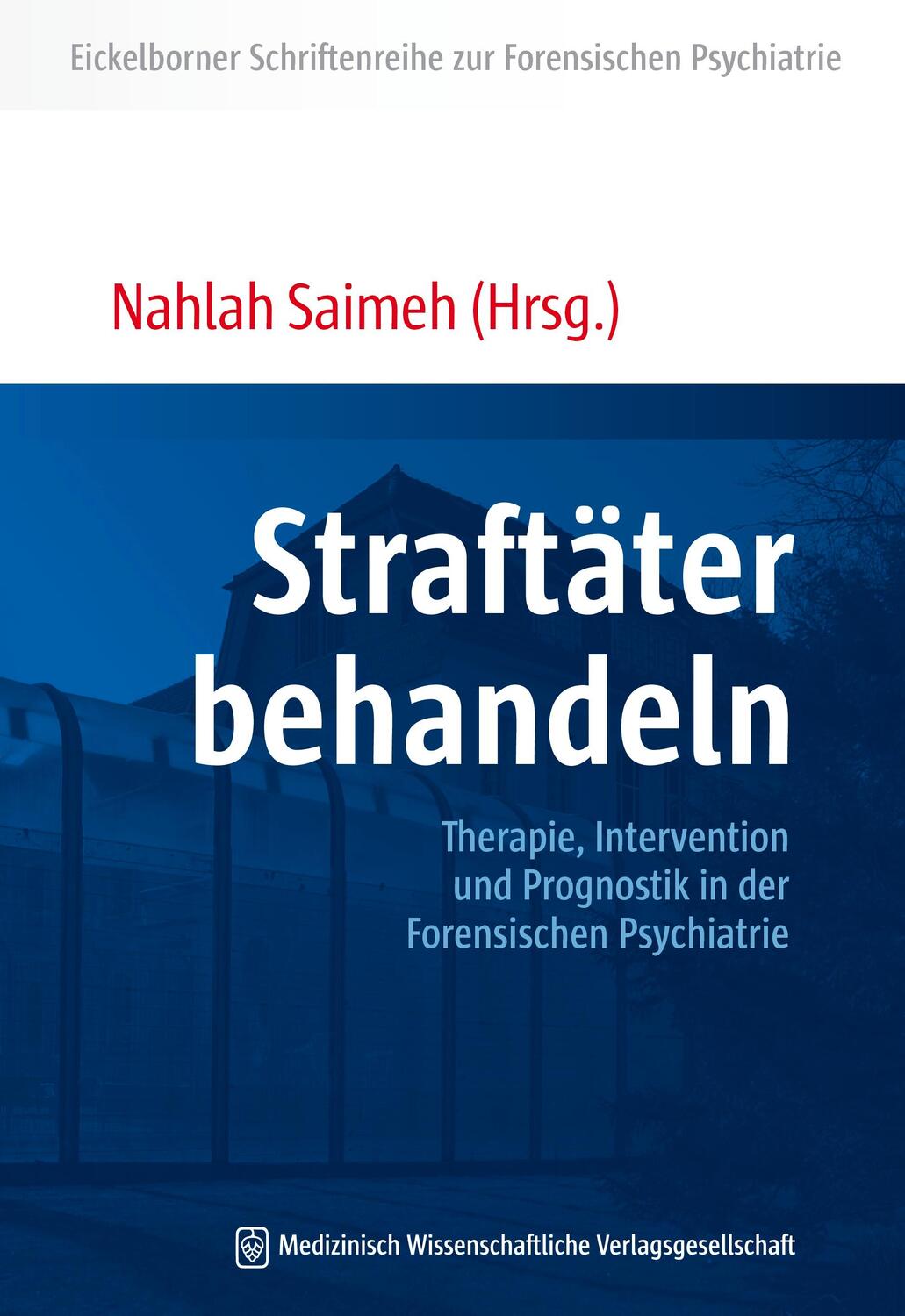 Cover: 9783954662289 | Straftäter behandeln | Nahlah Saimeh | Taschenbuch | 295 S. | Deutsch