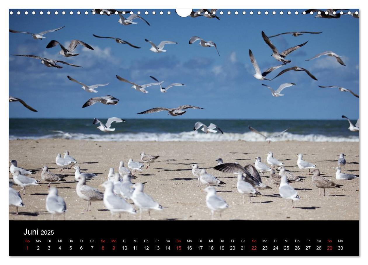 Bild: 9783435784516 | Frankreich Normandie (Wandkalender 2025 DIN A3 quer), CALVENDO...