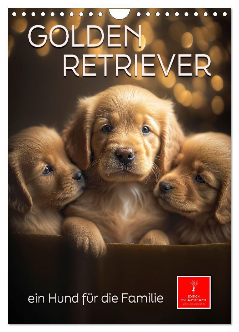 Cover: 9783675441439 | Golden Retriever - ein Hund für die Familie (Wandkalender 2024 DIN...