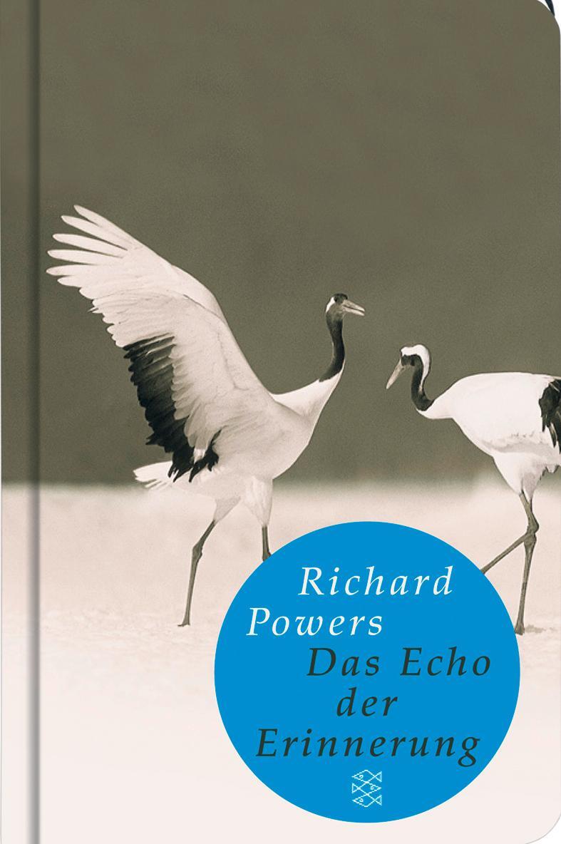 Cover: 9783596510375 | Das Echo der Erinnerung | Richard Powers | Buch | Lesebändchen | 2008