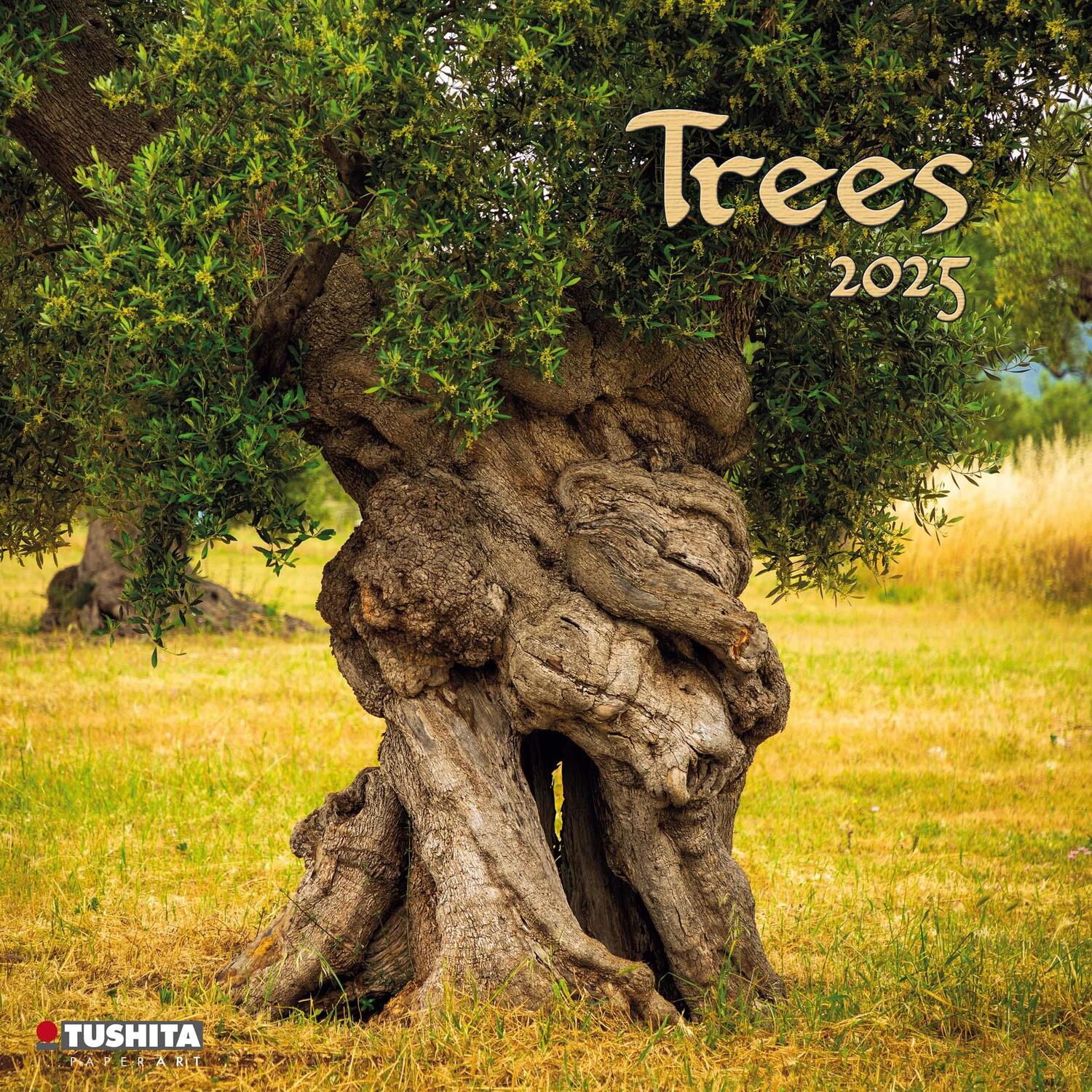 Cover: 9783959293815 | Trees 2025 | Kalender 2025 | Kalender | Mindful editions | 28 S.