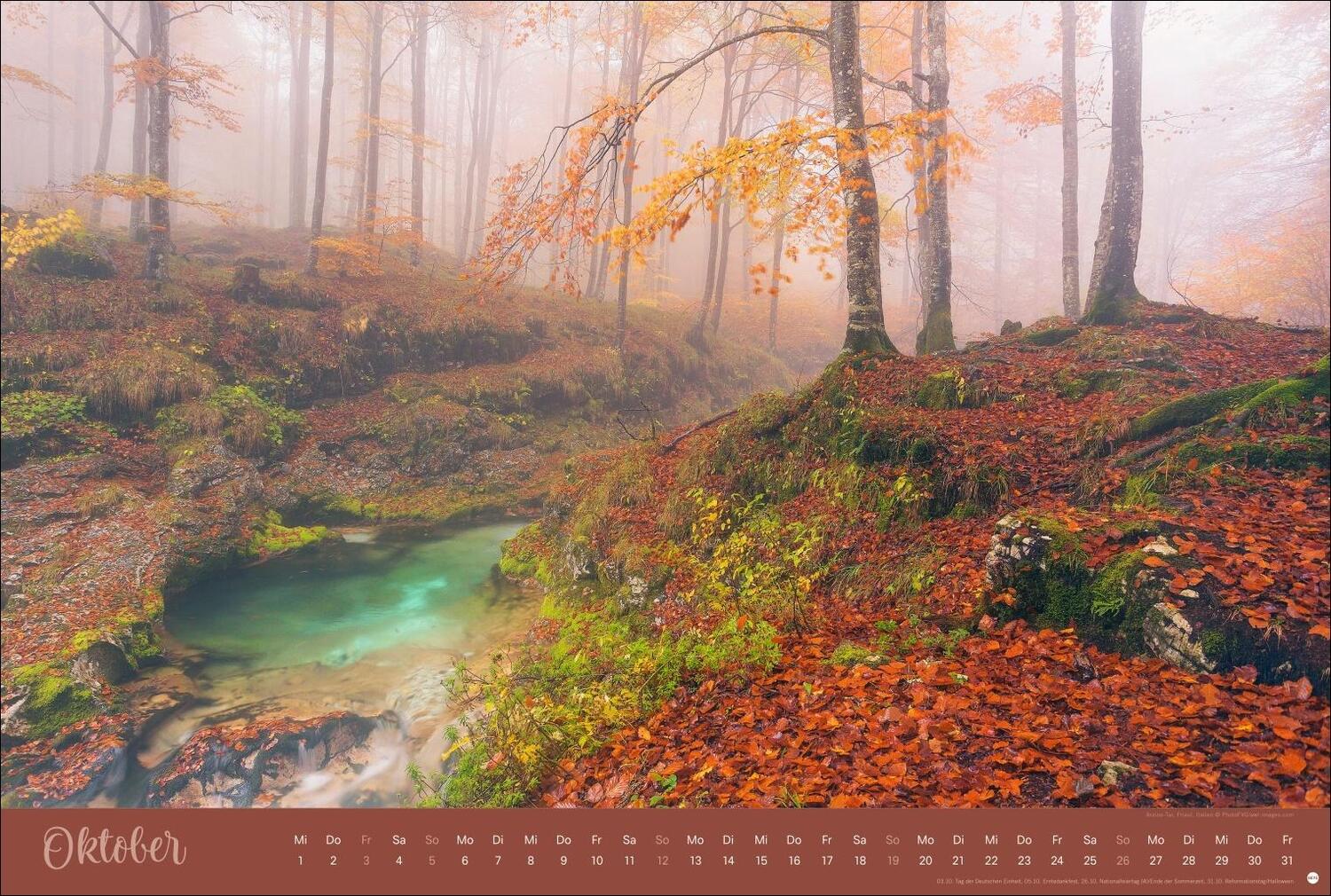 Bild: 9783756404759 | Zauberwälder Edition Kalender 2025 | Heye | Kalender | Spiralbindung