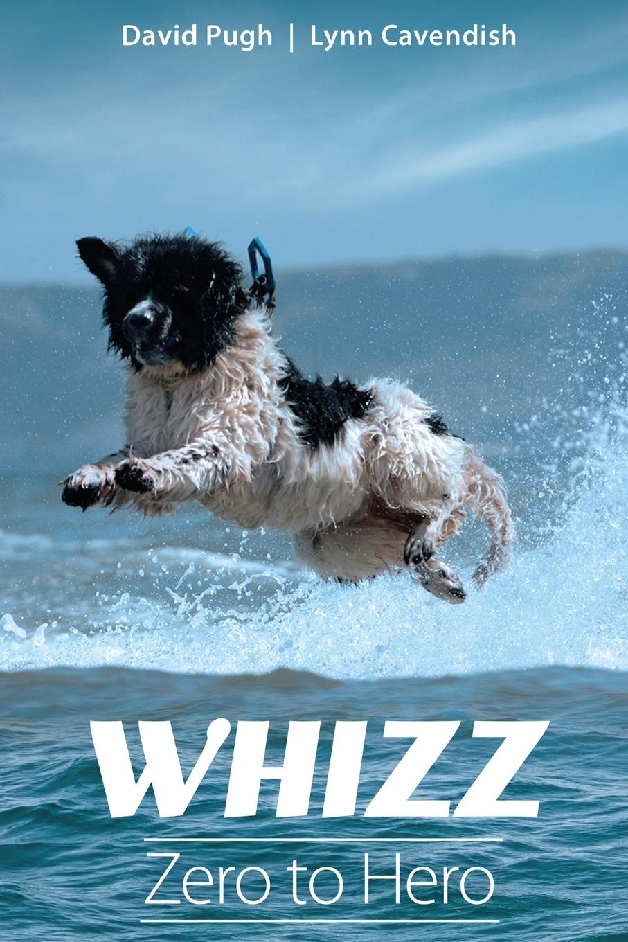 Cover: 9781915662750 | Whizz | Zero to Hero | David Pugh (u. a.) | Taschenbuch | Englisch