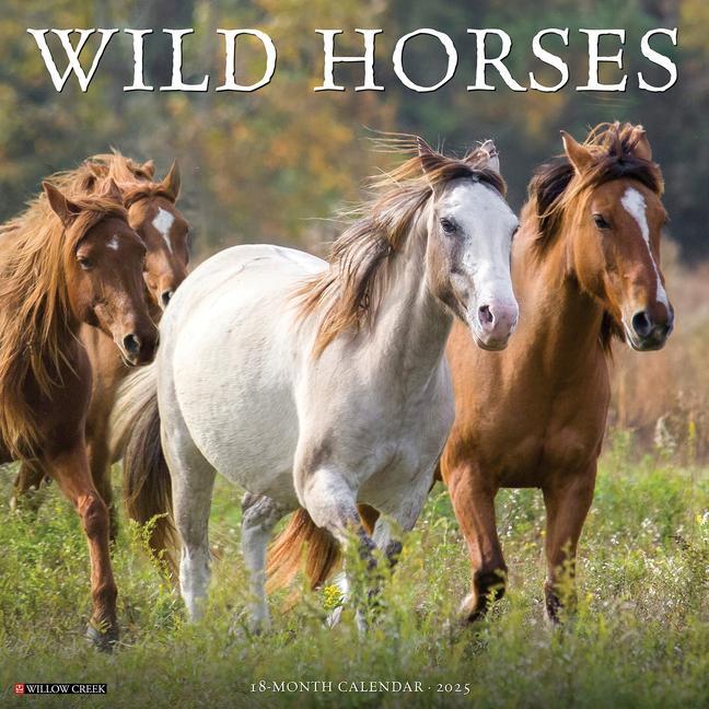 Cover: 9781549245466 | Wild Horses 2025 12 X 12 Wall Calendar | Willow Creek Press | Kalender