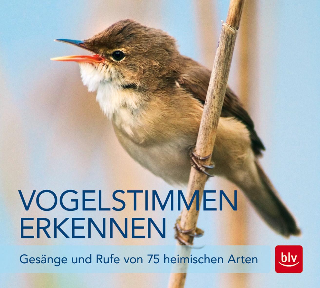 Cover: 9783835416208 | Vogelstimmen erkennen / CD | Gesänge und Rufe von 75 heimischen Arten