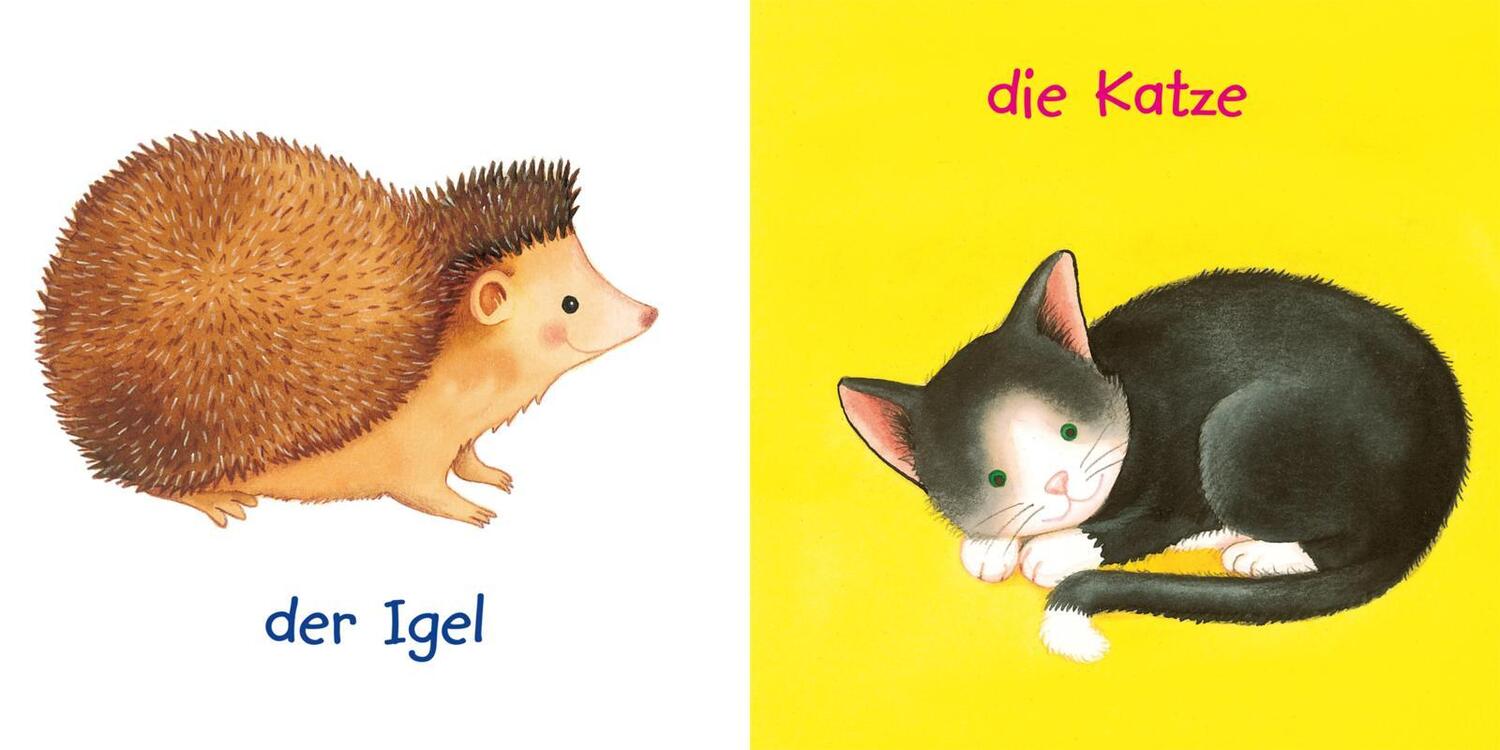 Bild: 9783551051462 | Mein Baby-Pixi-Buggybuch: Unsere Tiere | Denitza Gruber | Taschenbuch