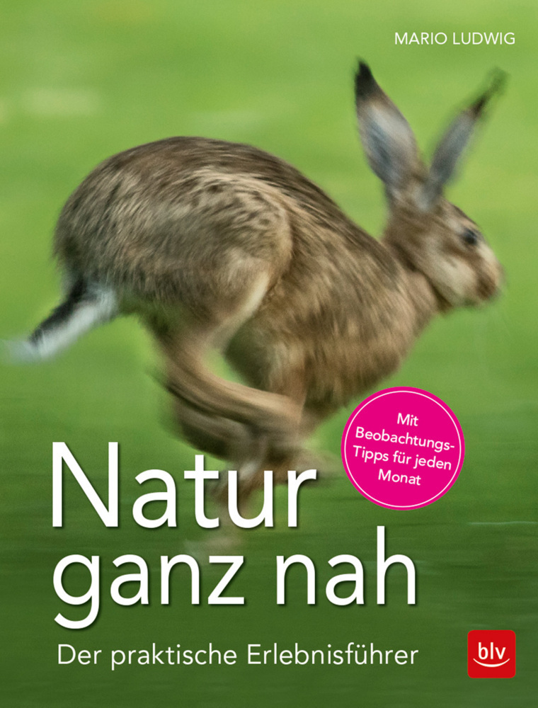 Cover: 9783835417236 | Natur ganz nah | Mario Ludwig | Taschenbuch | 144 S. | Deutsch | 2017