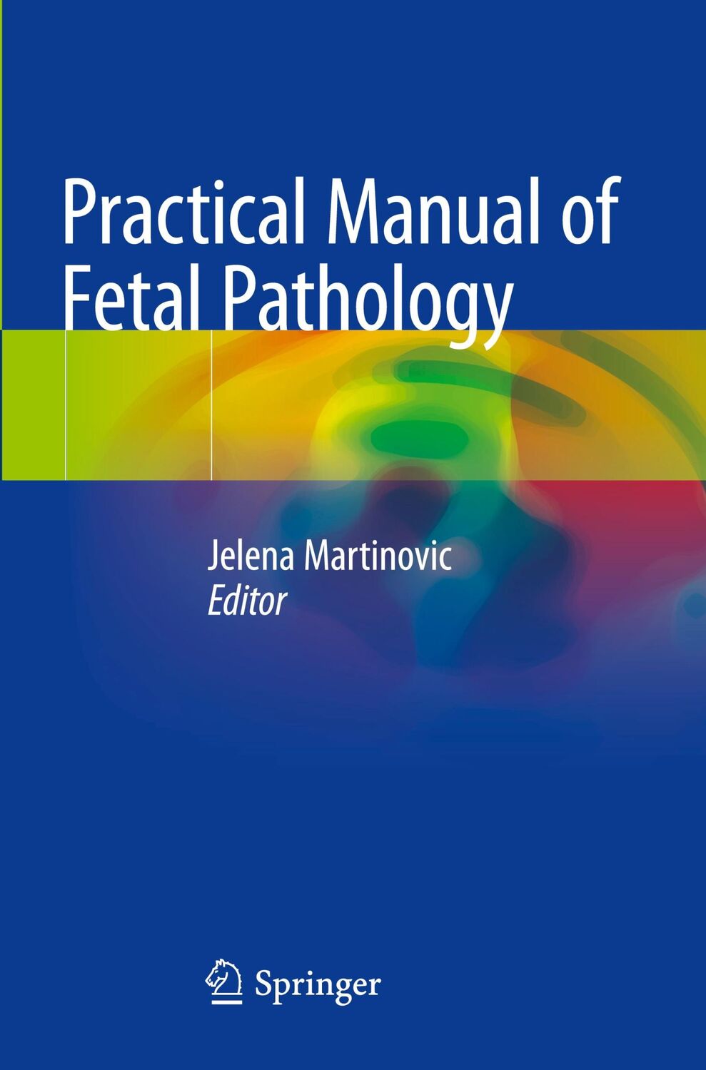 Cover: 9783030424947 | Practical Manual of Fetal Pathology | Jelena Martinovic | Taschenbuch