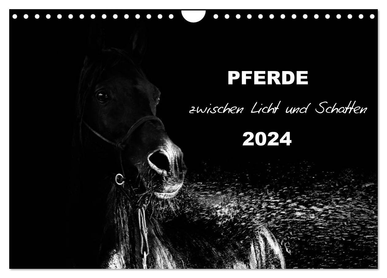 Cover: 9783383417856 | Pferde zwischen Licht und Schatten (Wandkalender 2024 DIN A4 quer),...